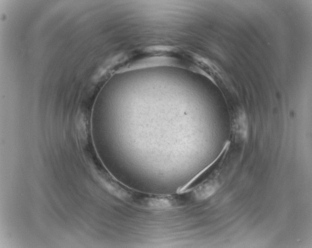 X0000066970572200603271211