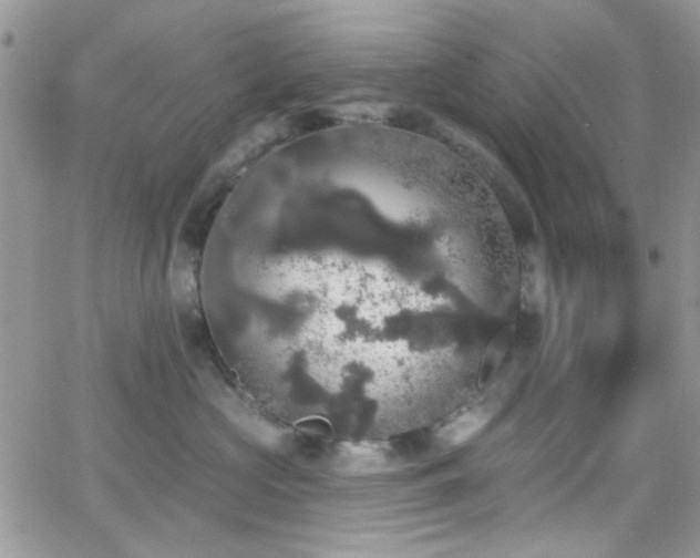 X0000066970573200603271211