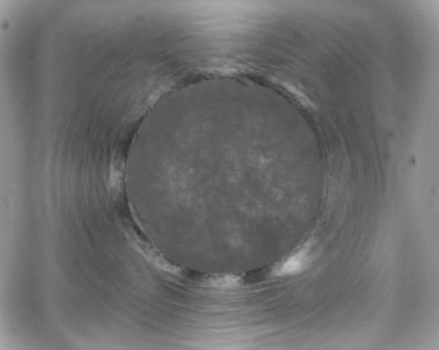 X0000066970576200603271211