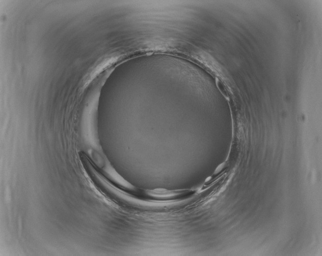 X0000066970577200603271210