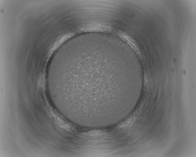 X0000066970578200603271210