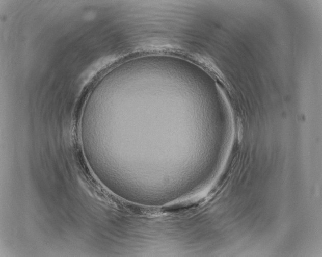 X0000066970579200603271210