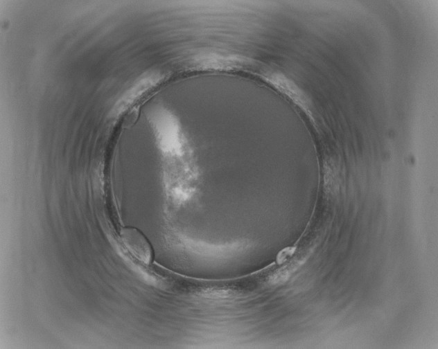 X0000066970581200603271210