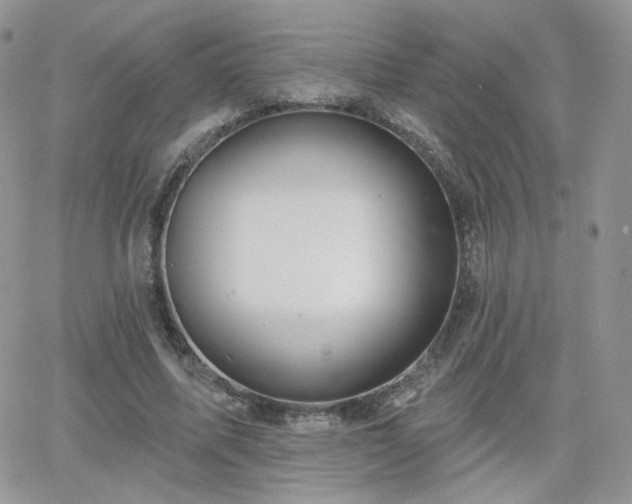 X0000066970587200603271210