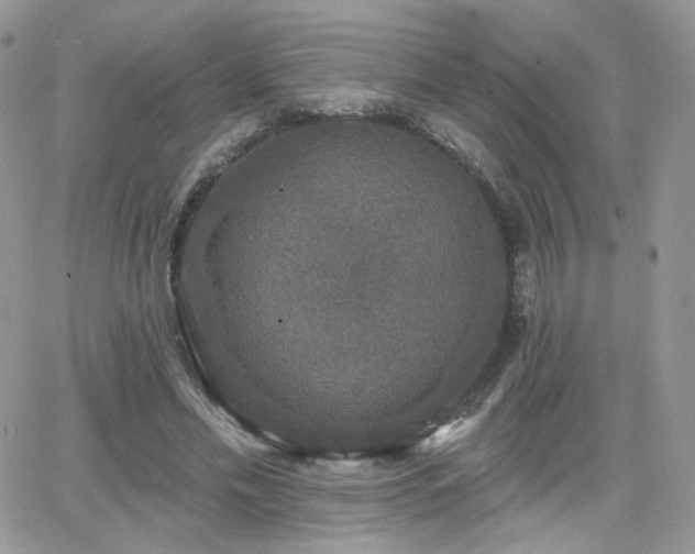 X0000066970589200603271210