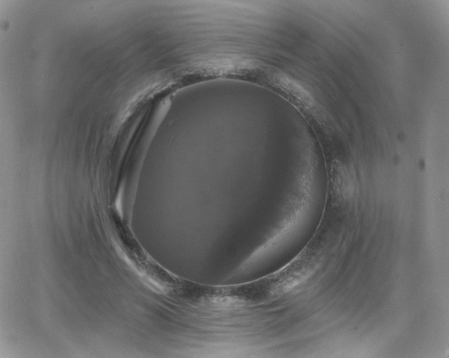 X0000066970590200603271210