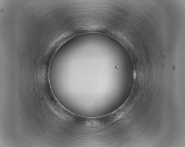 X0000066970591200603271210