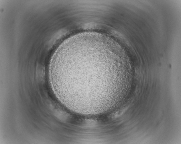 X0000066970592200603271210