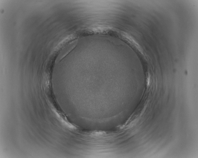 X0000066970593200603271210