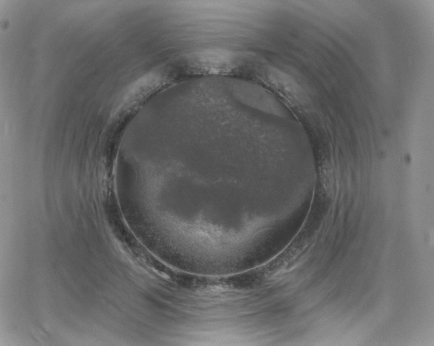 X0000066970594200603271210