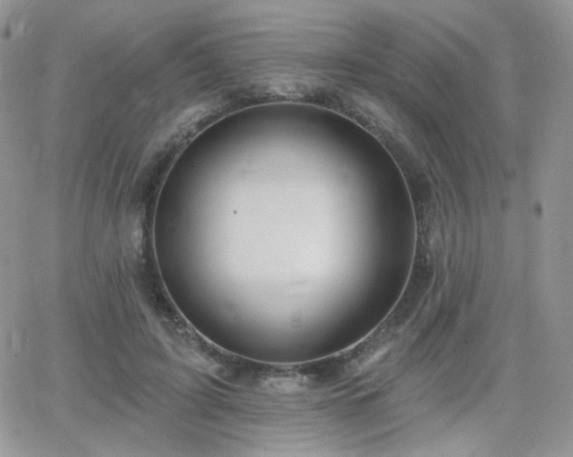 X0000066970595200603271210