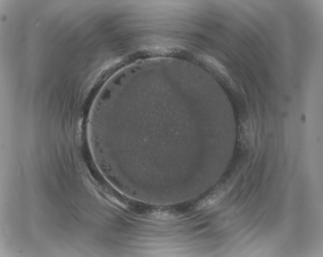 X0000066970596200603271210