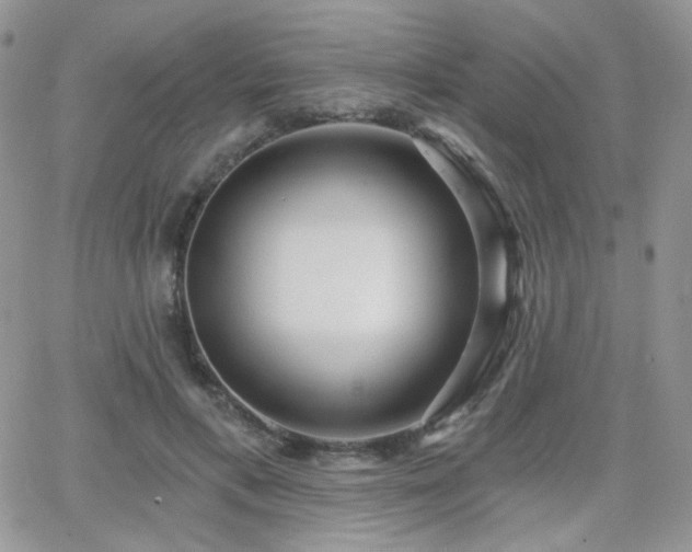 X0000066970597200603271210