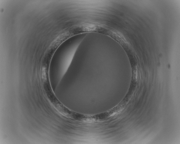 X0000066970598200603271210