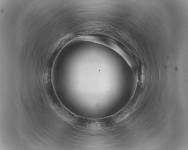 X0000066970600200603271210