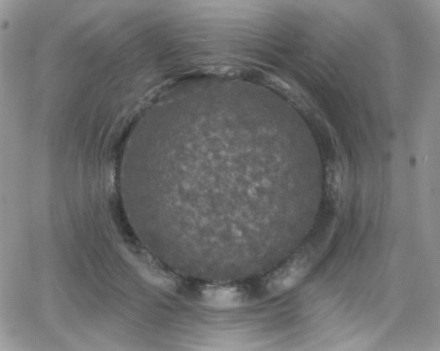 X0000066970602200603271210