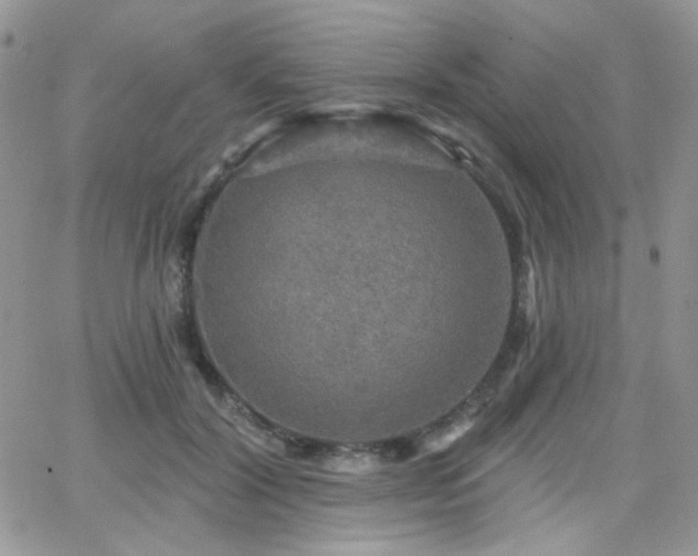 X0000066970604200603271210