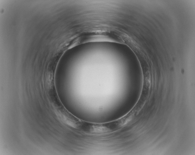 X0000066970605200603271210