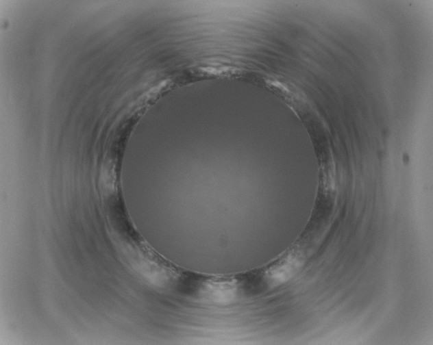 X0000066970606200603271210