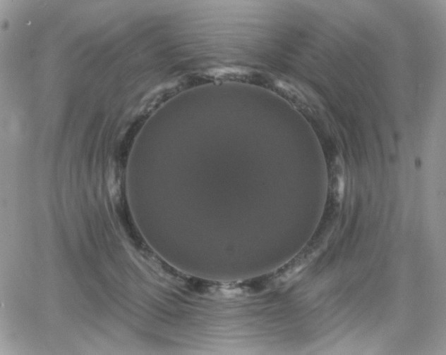 X0000066970607200603271210