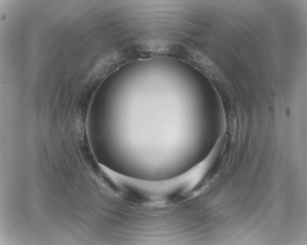 X0000066970609200603271210