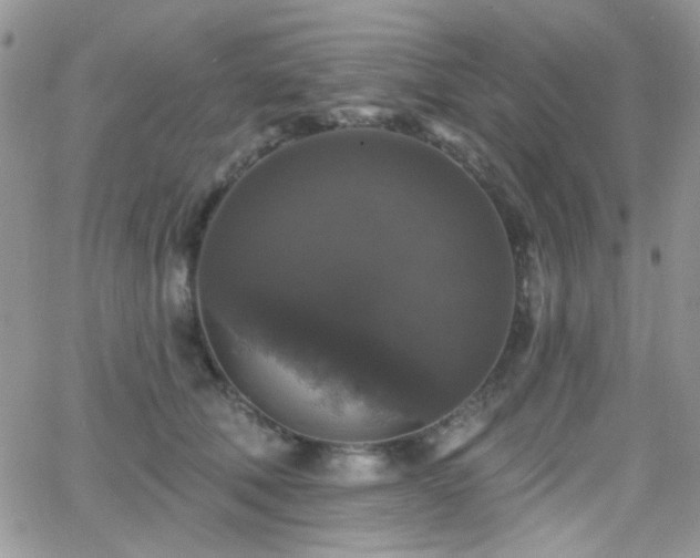 X0000066970610200603271210