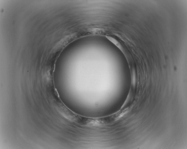 X0000066970611200603271210