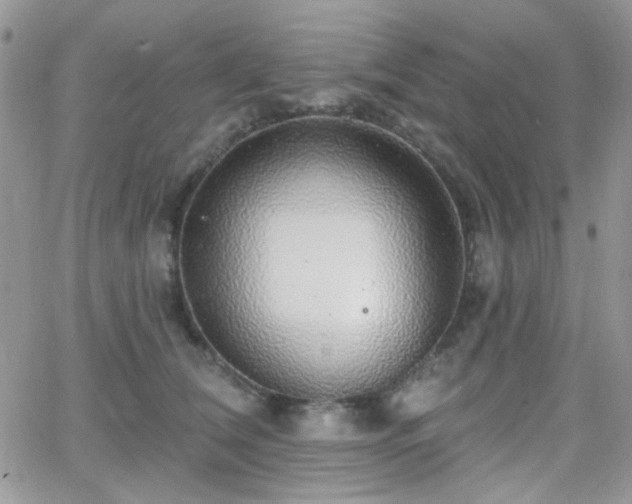 X0000066970612200603271210