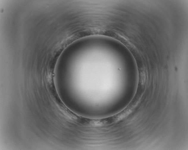 X0000066970613200603271210