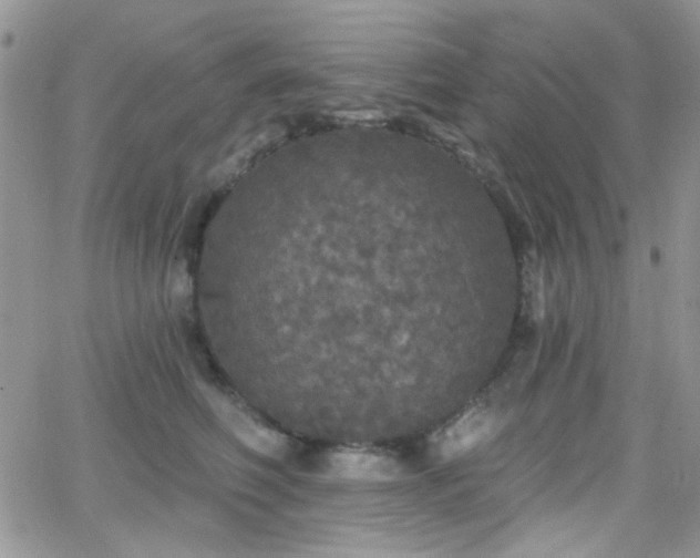 X0000066970614200603271210