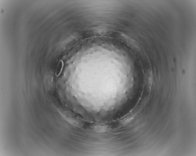 X0000066970615200603271210