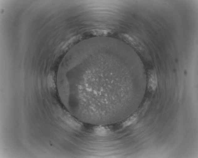 X0000066970616200603271210