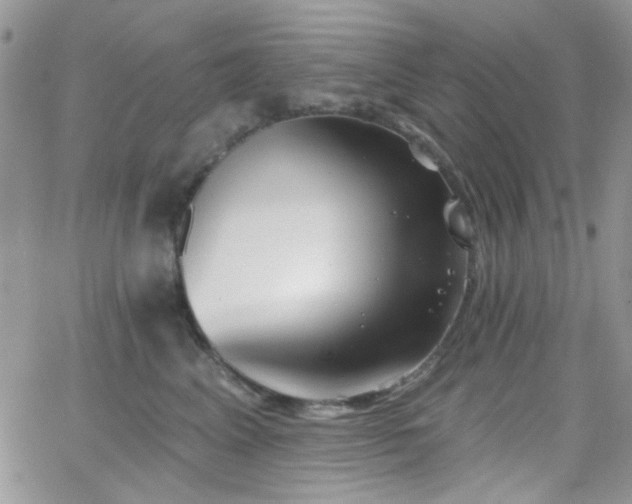 X0000066970617200603271210