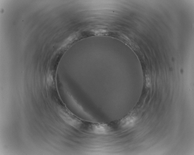 X0000066970618200603271210