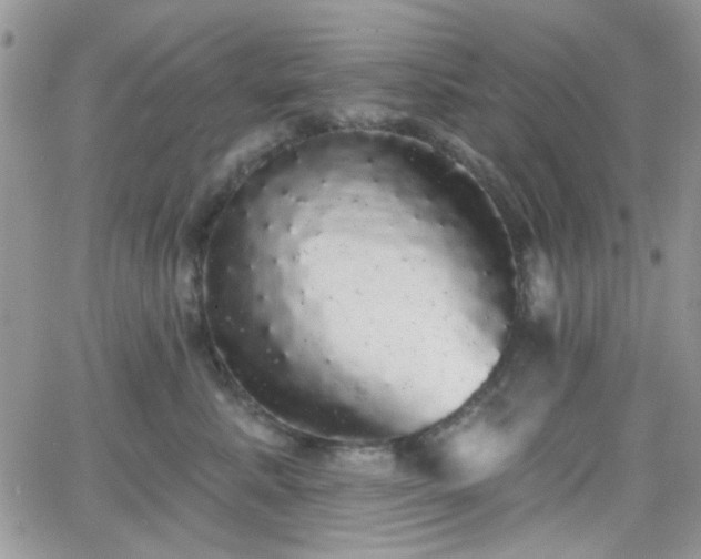 X0000066970619200603271210