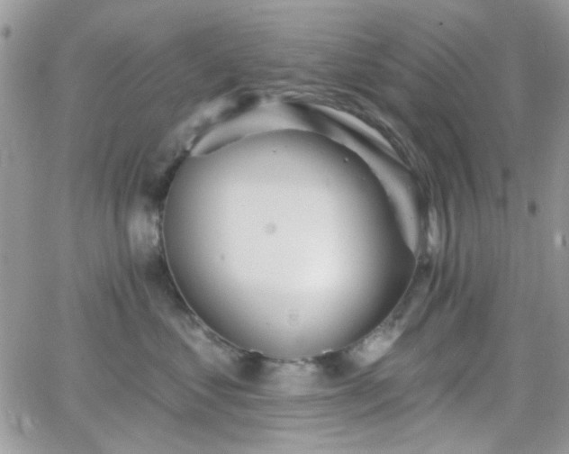 X0000066970621200603271210