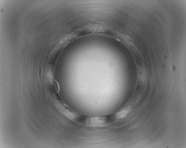 X0000066970622200603271210