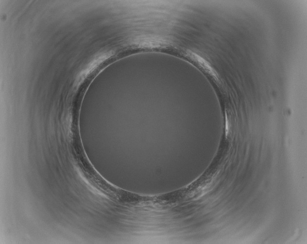 X0000066970627200603271209