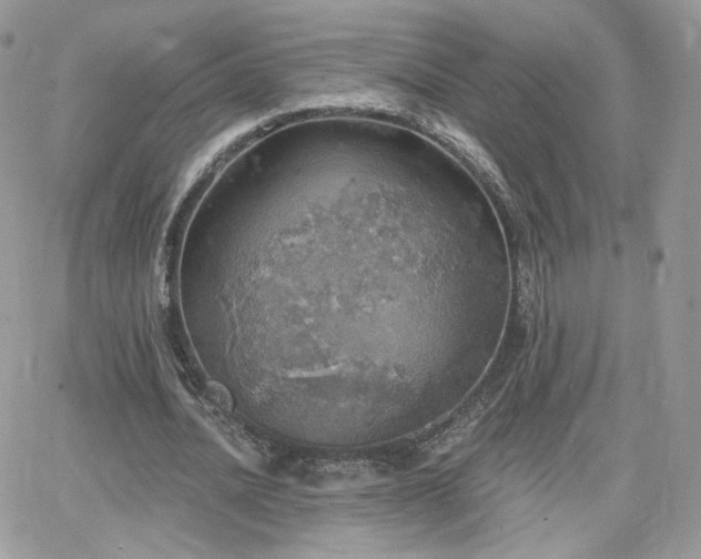 X0000066970628200603271209