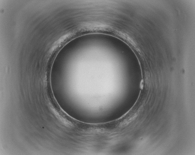 X0000066970629200603271209