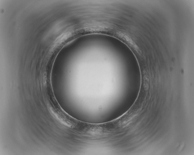 X0000066970631200603271209