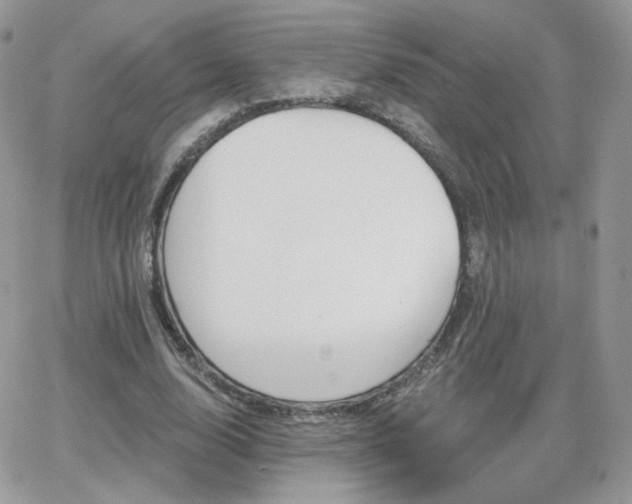 X0000066970632200603271209