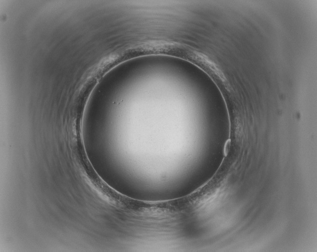 X0000066970633200603271209