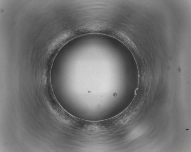 X0000066970635200603271209