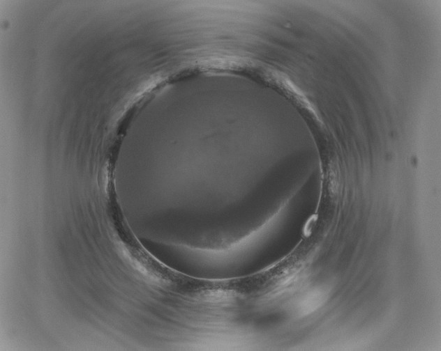 X0000066970637200603271209