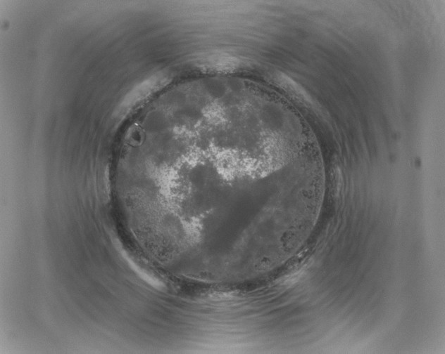 X0000066970638200603271209