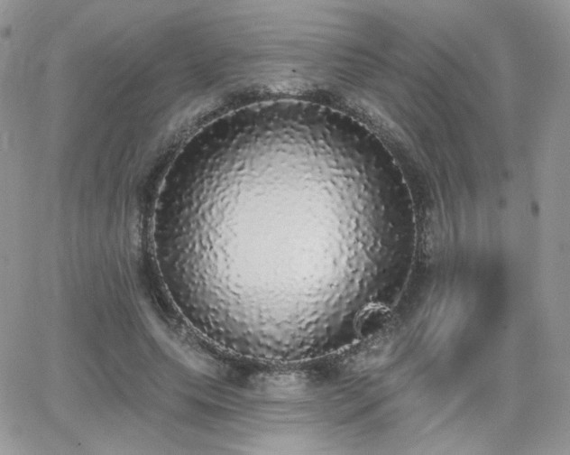 X0000066970639200603271209