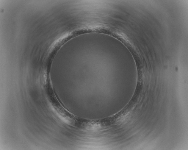 X0000066970640200603271209