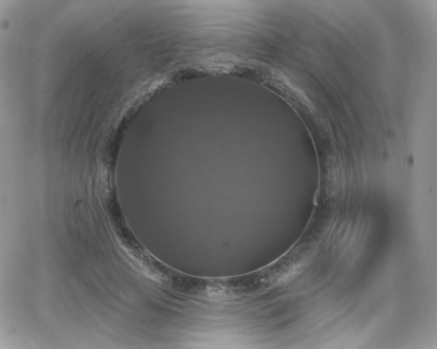 X0000066970641200603271209