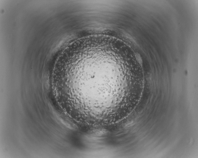 X0000066970642200603271209